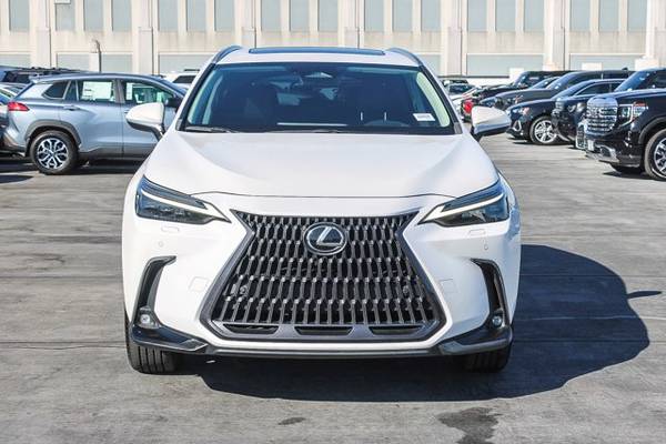 2023 Lexus NX